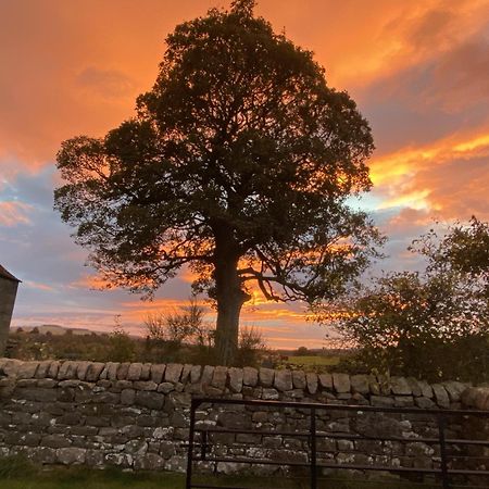 Wydon Farm Bed And Breakfast Haltwhistle Bagian luar foto