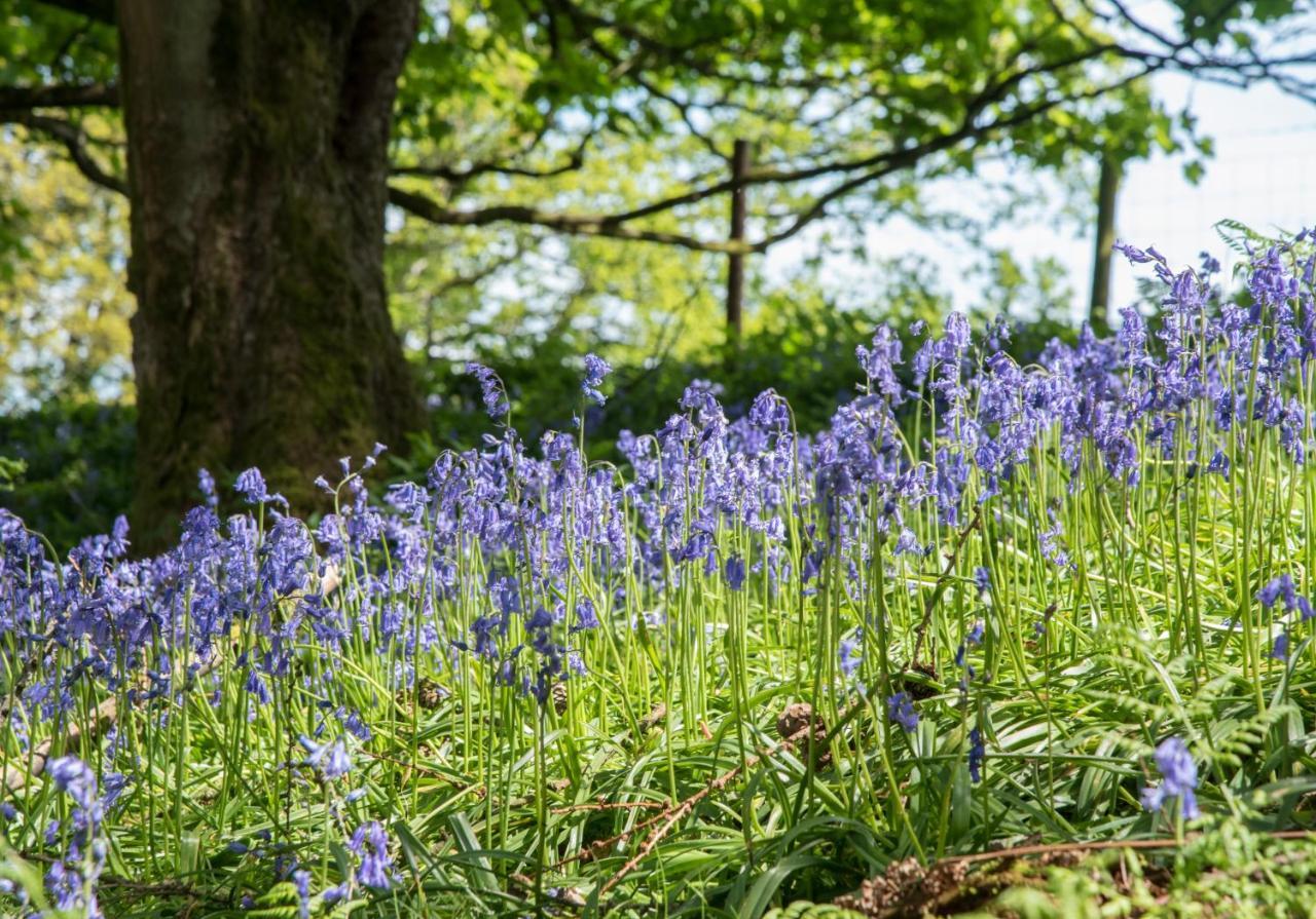 Wydon Farm Bed And Breakfast Haltwhistle Bagian luar foto