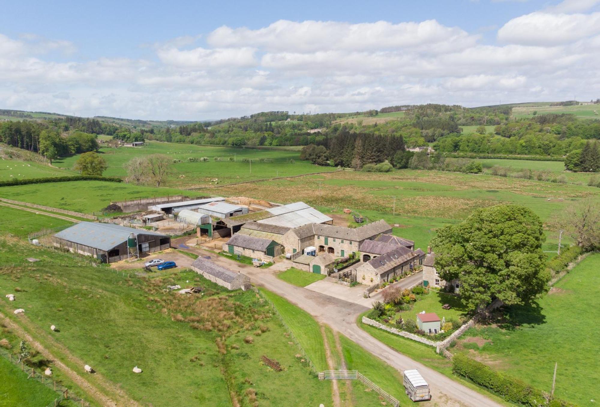 Wydon Farm Bed And Breakfast Haltwhistle Bagian luar foto