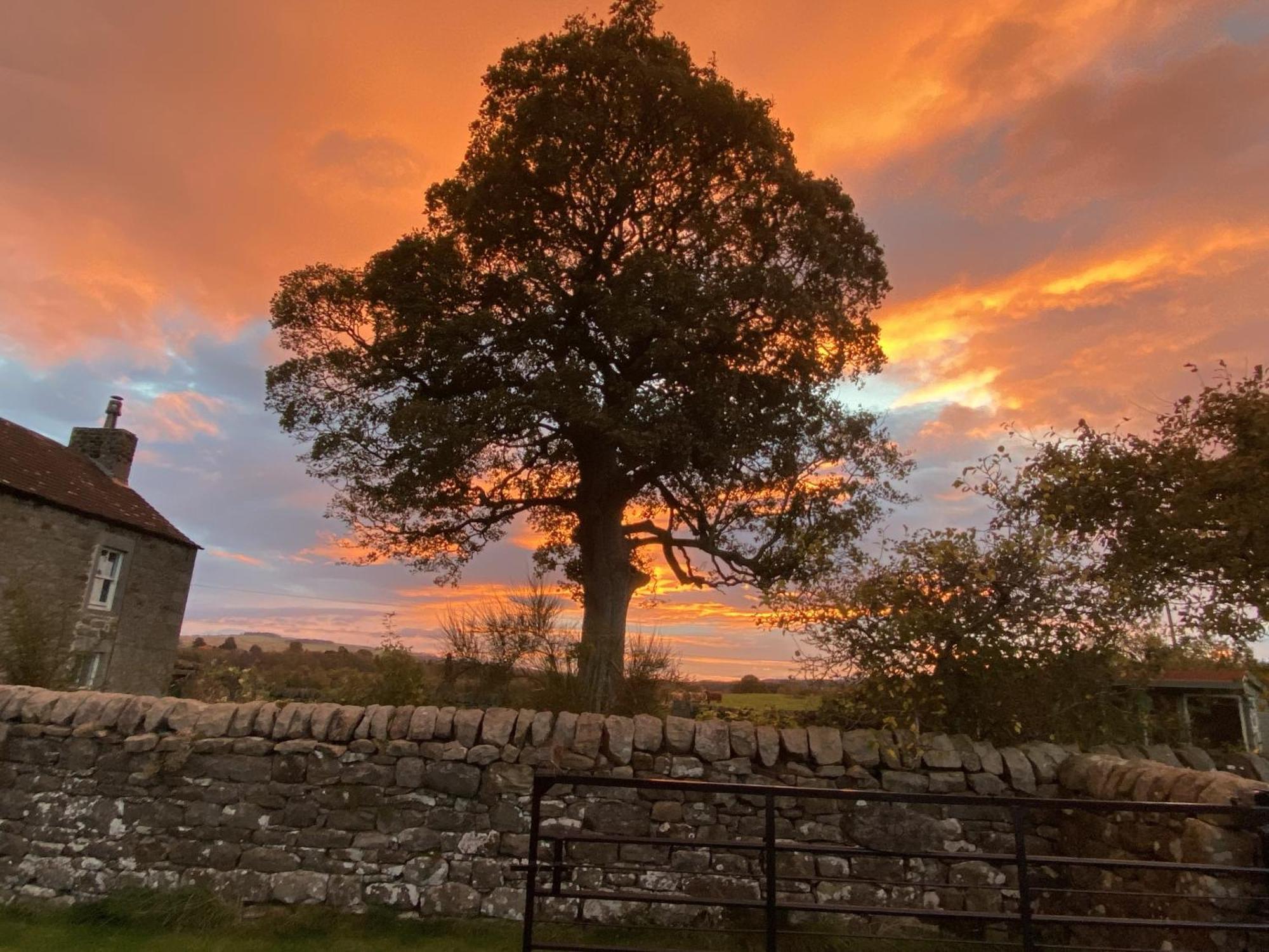 Wydon Farm Bed And Breakfast Haltwhistle Bagian luar foto