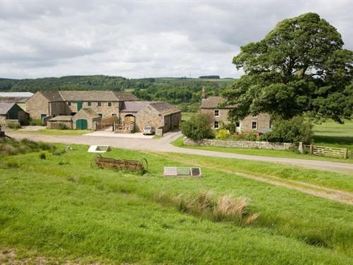 Wydon Farm Bed And Breakfast Haltwhistle Bagian luar foto