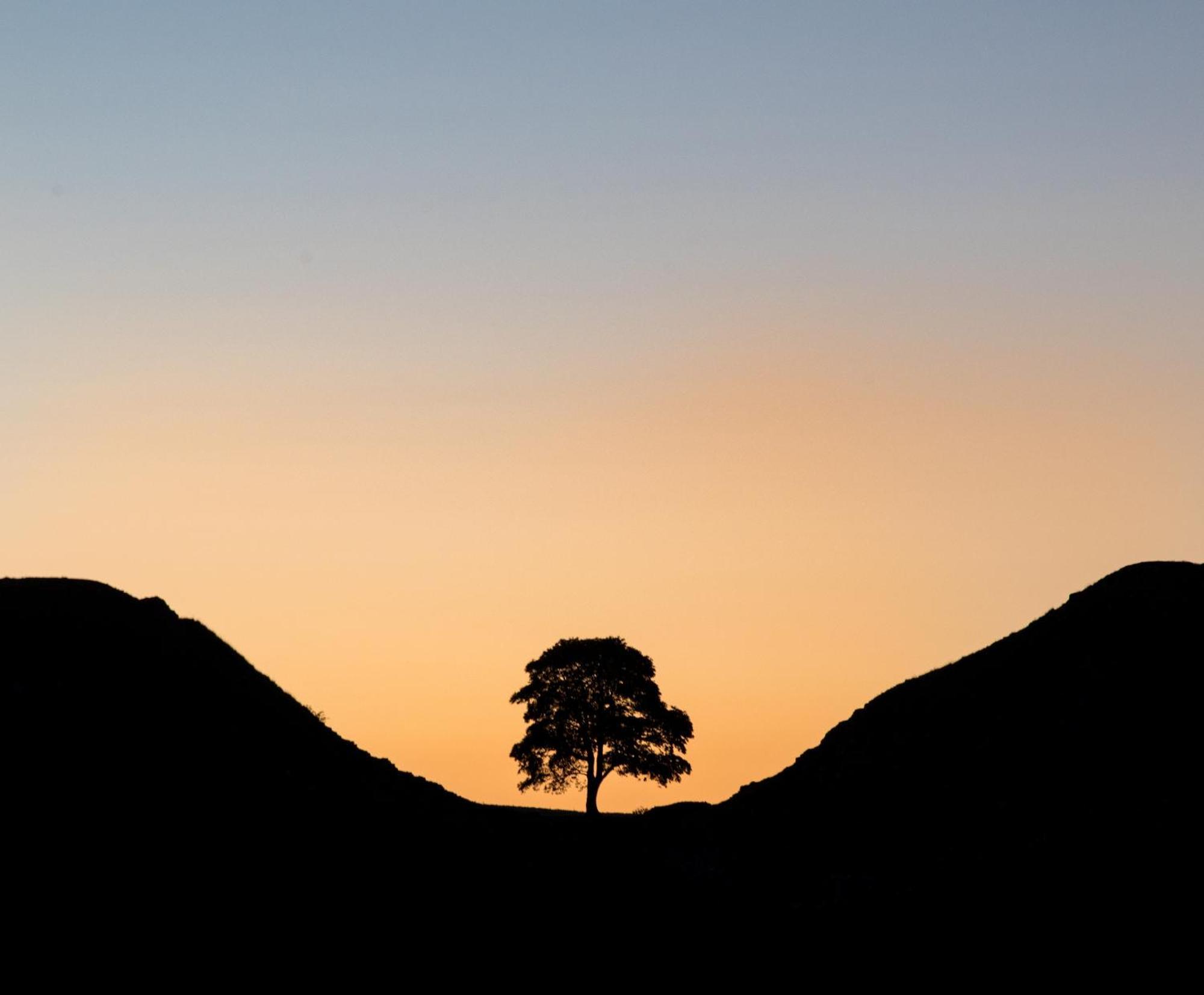 Wydon Farm Bed And Breakfast Haltwhistle Bagian luar foto