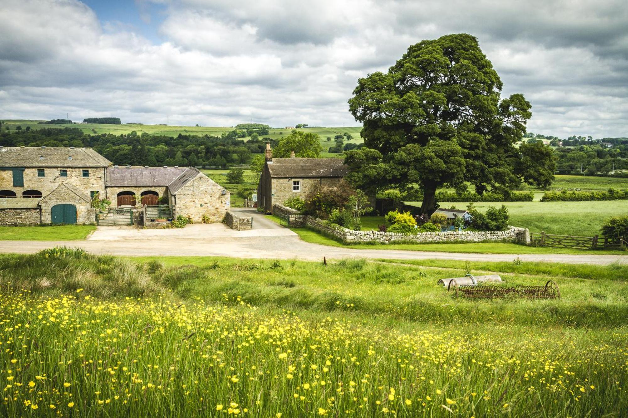 Wydon Farm Bed And Breakfast Haltwhistle Bagian luar foto